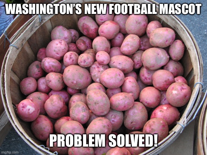WASHINGTON’S NEW FOOTBALL MASCOT; PROBLEM SOLVED! | image tagged in washington redskins,nfl,nfl football,football,woke | made w/ Imgflip meme maker