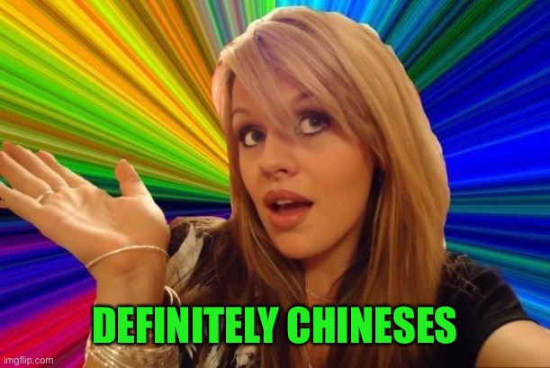 Dumb Blonde Meme | DEFINITELY CHINESES | image tagged in memes,dumb blonde | made w/ Imgflip meme maker