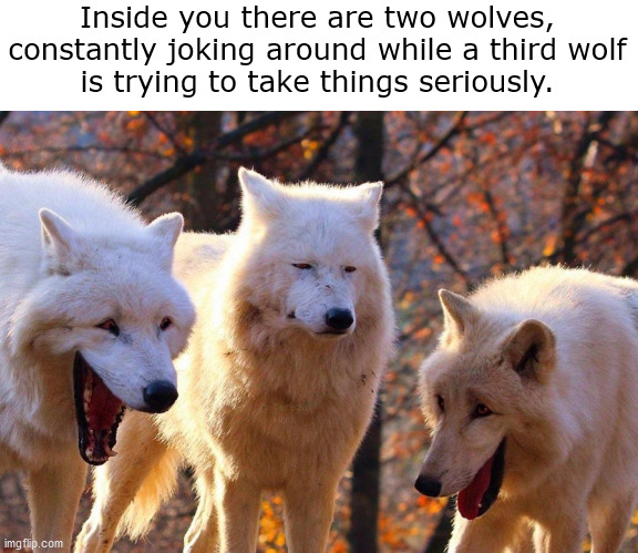 Seems legit. | Inside you there are two wolves,
constantly joking around while a third wolf
is trying to take things seriously. | image tagged in 2/3 wolves laugh,memes,funny | made w/ Imgflip meme maker