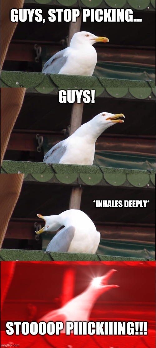 Inhaling Seagull Meme | GUYS, STOP PICKING... GUYS! *INHALES DEEPLY*; STOOOOP PIIICKIIING!!! | image tagged in memes,inhaling seagull | made w/ Imgflip meme maker