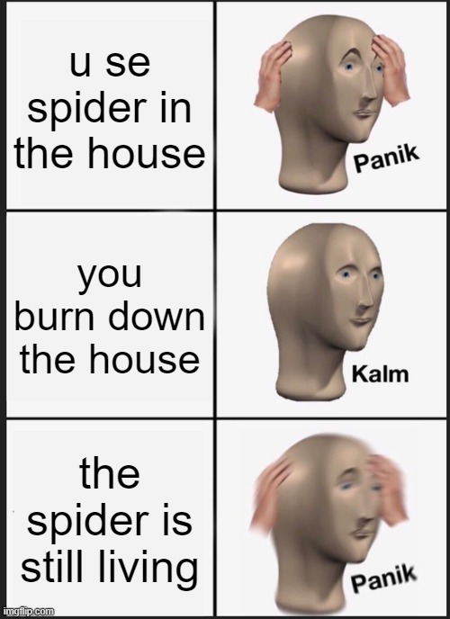 Panik Kalm Panik | u se spider in the house; you burn down the house; the spider is still living | image tagged in memes,panik kalm panik | made w/ Imgflip meme maker