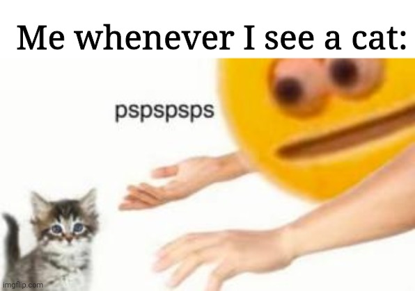 Is this universal? | Me whenever I see a cat: | image tagged in memes,funny memes,funny meme,cats,new meme,new memes | made w/ Imgflip meme maker