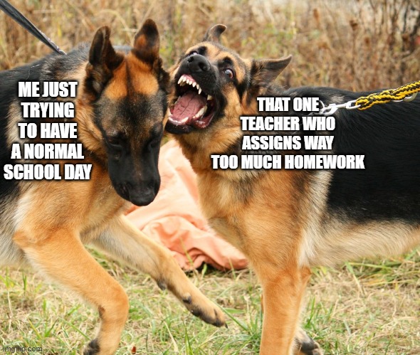 THAT ONE TEACHER WHO ASSIGNS WAY TOO MUCH HOMEWORK; ME JUST TRYING TO HAVE A NORMAL SCHOOL DAY | made w/ Imgflip meme maker