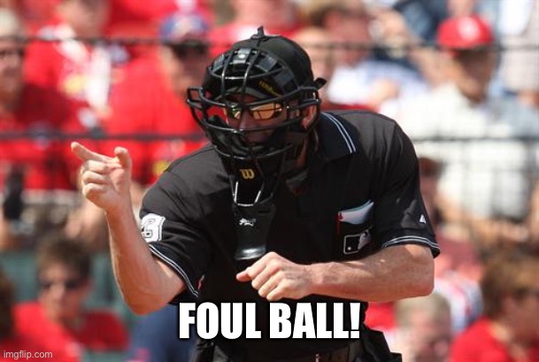 Umpire | FOUL BALL! | image tagged in umpire | made w/ Imgflip meme maker