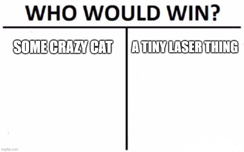Cat vs Laser | SOME CRAZY CAT; A TINY LASER THING | image tagged in memes,who would win | made w/ Imgflip meme maker