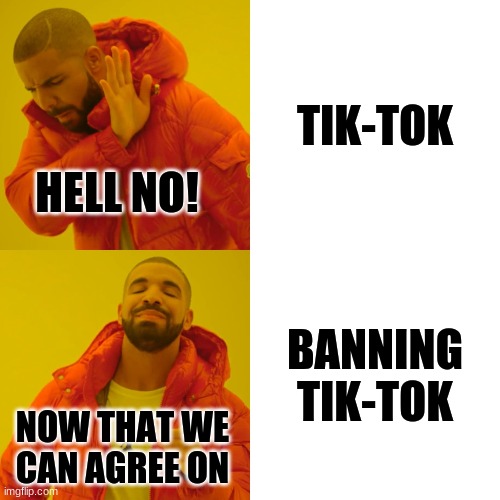 Tik-Tok vs Tik-Tok Being Banned | TIK-TOK; HELL NO! BANNING TIK-TOK; NOW THAT WE CAN AGREE ON | image tagged in memes,drake hotline bling | made w/ Imgflip meme maker