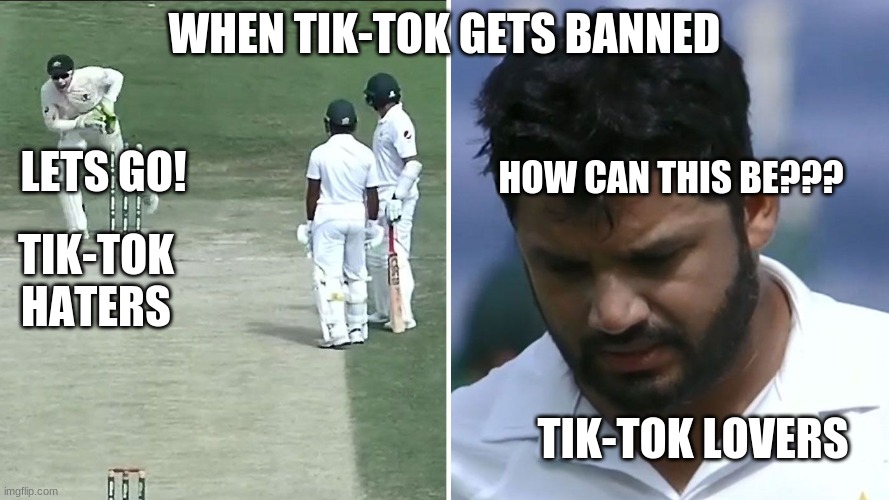 When Tik-Tok Gets Banned | WHEN TIK-TOK GETS BANNED; LETS GO! HOW CAN THIS BE??? TIK-TOK HATERS; TIK-TOK LOVERS | image tagged in funny meme,cricket | made w/ Imgflip meme maker