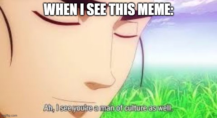 Ah i see your a man of culture as well | WHEN I SEE THIS MEME: | image tagged in ah i see your a man of culture as well | made w/ Imgflip meme maker