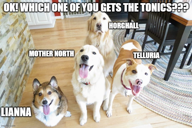 OK! WHICH ONE OF YOU GETS THE TONICS??? HORGHALL; MOTHER NORTH; TELLURIA; LIANNA | made w/ Imgflip meme maker