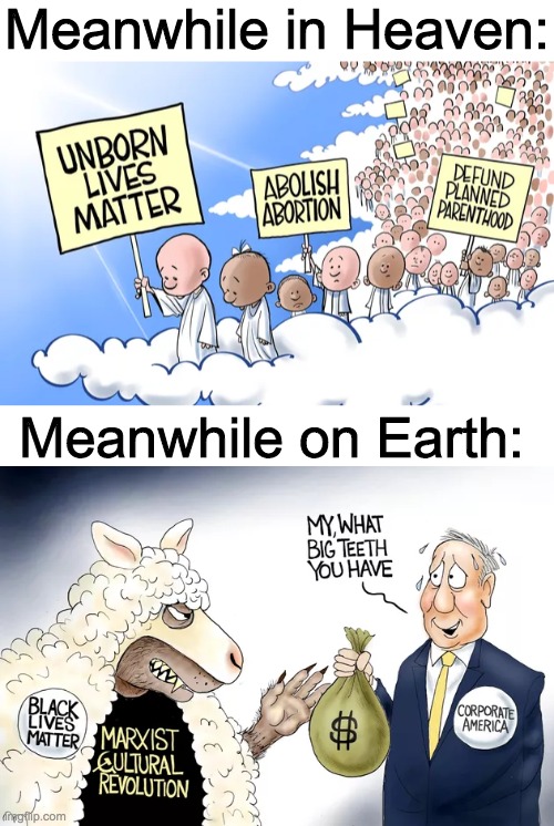 Abortion is murder! | Meanwhile in Heaven:; Meanwhile on Earth: | image tagged in memes,politics,comics/cartoons,abortion,blm,cultural marxism | made w/ Imgflip meme maker