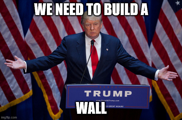 Donald Trump | WE NEED TO BUILD A WALL | image tagged in donald trump | made w/ Imgflip meme maker