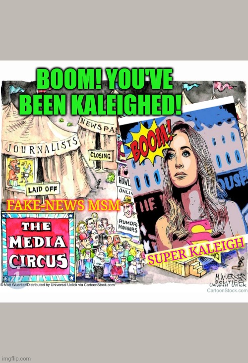 WH PRESS SEC KICKS MSM ASS! | BOOM! YOU'VE BEEN KALEIGHED! FAKE-NEWS MSM; SUPER KALEIGH | image tagged in fake news,success kid,republicans,new rules,democratic party,homer drooling | made w/ Imgflip meme maker