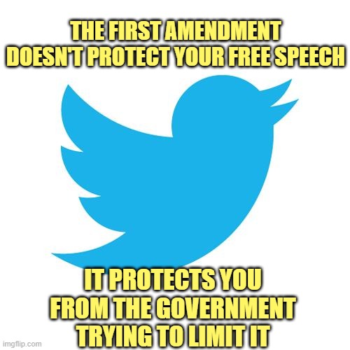 Social media is not our government. It can censor you for whatever it wants. Don't like it? Find another platform. | THE FIRST AMENDMENT DOESN'T PROTECT YOUR FREE SPEECH; IT PROTECTS YOU FROM THE GOVERNMENT TRYING TO LIMIT IT | image tagged in twitter birds says,first amendment,twitter,facebook,social media,free speech | made w/ Imgflip meme maker
