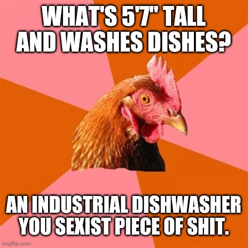 Anti Joke Chicken Meme | WHAT'S 5'7" TALL AND WASHES DISHES? AN INDUSTRIAL DISHWASHER YOU SEXIST PIECE OF SHIT. | image tagged in memes,anti joke chicken | made w/ Imgflip meme maker