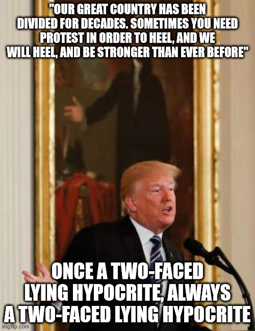 Lying Donnie Tramp | "OUR GREAT COUNTRY HAS BEEN DIVIDED FOR DECADES. SOMETIMES YOU NEED PROTEST IN ORDER TO HEEL, AND WE WILL HEEL, AND BE STRONGER THAN EVER BEFORE"; ONCE A TWO-FACED LYING HYPOCRITE, ALWAYS A TWO-FACED LYING HYPOCRITE | image tagged in republican,democrat,trump | made w/ Imgflip meme maker