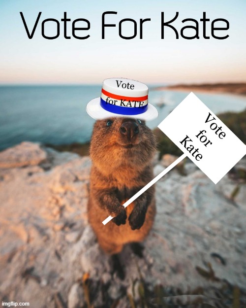 Vote for Kate | image tagged in kate_the_grate,kewlew | made w/ Imgflip meme maker