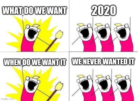 What Do We Want Meme | WHAT DO WE WANT; 2020; WE NEVER WANTED IT; WHEN DO WE WANT IT | image tagged in memes,what do we want | made w/ Imgflip meme maker