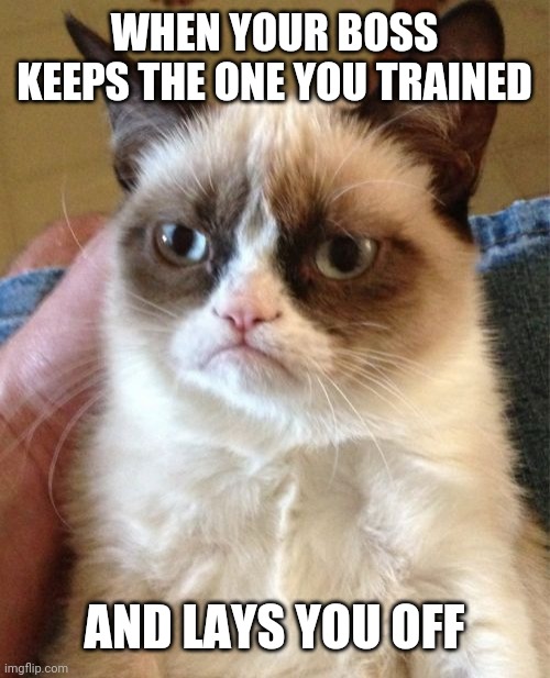 Grumpy Cat Meme | WHEN YOUR BOSS KEEPS THE ONE YOU TRAINED; AND LAYS YOU OFF | image tagged in memes,grumpy cat | made w/ Imgflip meme maker