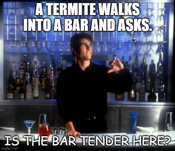 Daily Bad Dad Joke July 14 2020 | A TERMITE WALKS INTO A BAR AND ASKS. IS THE BAR TENDER HERE? | image tagged in cocktail | made w/ Imgflip meme maker