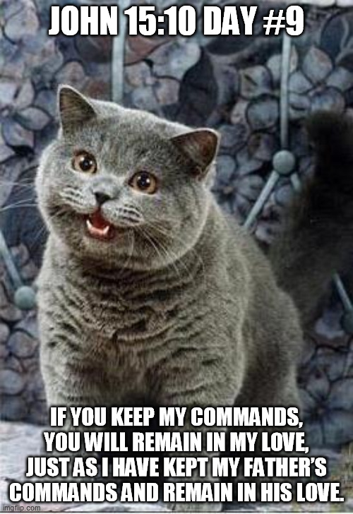 I can has cheezburger cat | JOHN 15:10 DAY #9; IF YOU KEEP MY COMMANDS, YOU WILL REMAIN IN MY LOVE, JUST AS I HAVE KEPT MY FATHER’S COMMANDS AND REMAIN IN HIS LOVE. | image tagged in i can has cheezburger cat | made w/ Imgflip meme maker