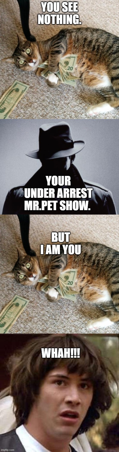 Whah!! | YOU SEE NOTHING. YOUR UNDER ARREST MR.PET SHOW. BUT I AM YOU; WHAH!!! | image tagged in memes,conspiracy keanu,money cat,spy silhouette | made w/ Imgflip meme maker