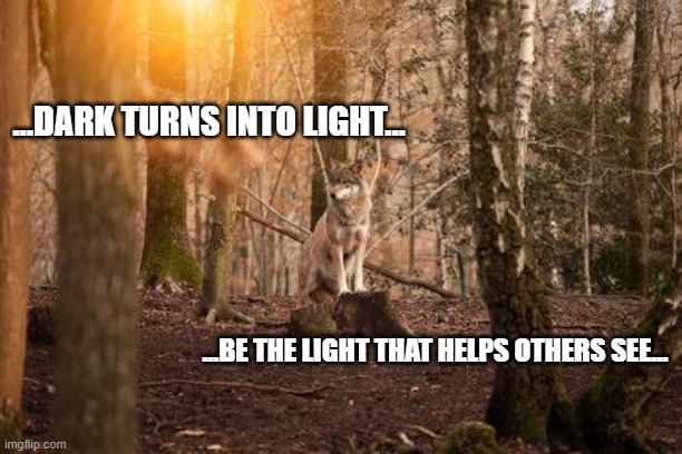 ...DARK TURNS INTO LIGHT... ...BE THE LIGHT THAT HELPS OTHERS SEE... | made w/ Imgflip meme maker