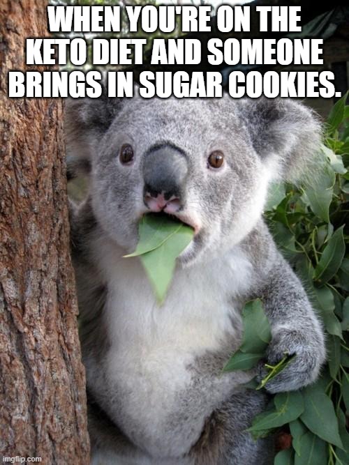 Oh! The torture! | WHEN YOU'RE ON THE KETO DIET AND SOMEONE BRINGS IN SUGAR COOKIES. | image tagged in memes,surprised koala,cookies,diet | made w/ Imgflip meme maker