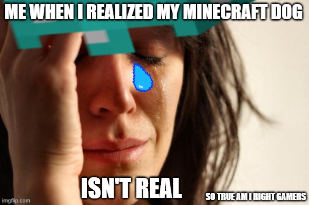 Minecraft Dog | ME WHEN I REALIZED MY MINECRAFT DOG; ISN'T REAL; SO TRUE AM I RIGHT GAMERS | image tagged in so sad | made w/ Imgflip meme maker
