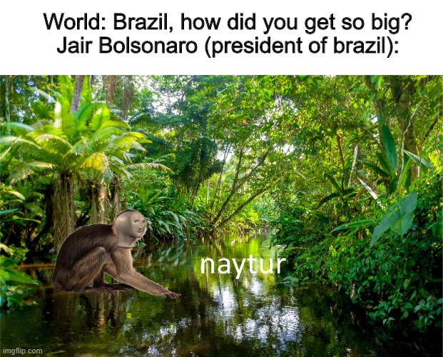 naytur | World: Brazil, how did you get so big?

Jair Bolsonaro (president of brazil): | image tagged in brazil,naytur,meme man | made w/ Imgflip meme maker