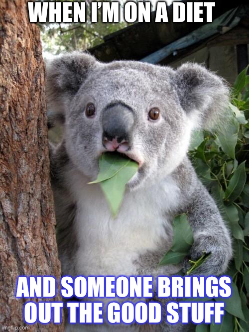 This is me ALL THE TIME | WHEN I’M ON A DIET; AND SOMEONE BRINGS OUT THE GOOD STUFF | image tagged in memes,surprised koala | made w/ Imgflip meme maker