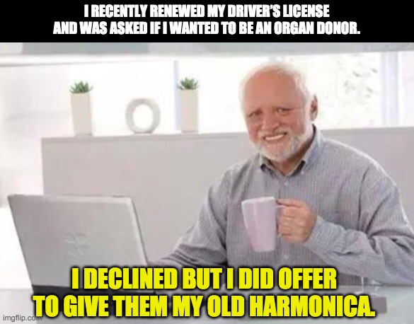 Harold | I RECENTLY RENEWED MY DRIVER’S LICENSE AND WAS ASKED IF I WANTED TO BE AN ORGAN DONOR. I DECLINED BUT I DID OFFER TO GIVE THEM MY OLD HARMONICA. | image tagged in harold | made w/ Imgflip meme maker