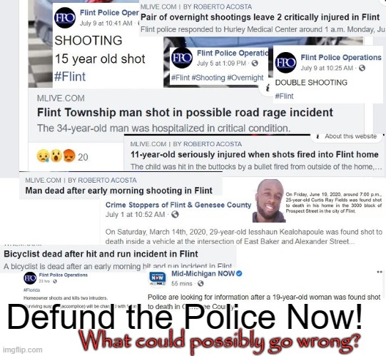 Defunded Police | Defund the Police Now! What could possibly go wrong? | image tagged in defunded police | made w/ Imgflip meme maker