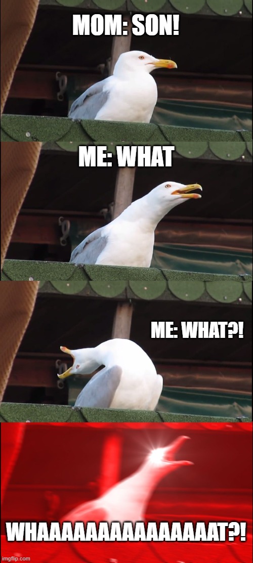 Inhaling Seagull Meme | MOM: SON! ME: WHAT; ME: WHAT?! WHAAAAAAAAAAAAAAAT?! | image tagged in memes,inhaling seagull | made w/ Imgflip meme maker