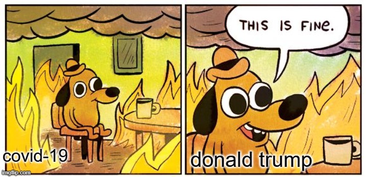 This Is Fine | donald trump; covid-19 | image tagged in memes,this is fine | made w/ Imgflip meme maker