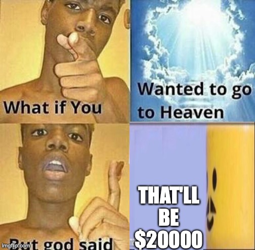 What if you wanted to go to Heaven | THAT'LL BE $20000 | image tagged in what if you wanted to go to heaven | made w/ Imgflip meme maker