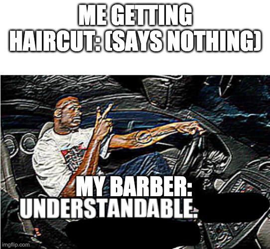 UNDERSTANDABLE, HAVE A GREAT DAY | ME GETTING HAIRCUT: (SAYS NOTHING); MY BARBER: | image tagged in understandable have a great day | made w/ Imgflip meme maker