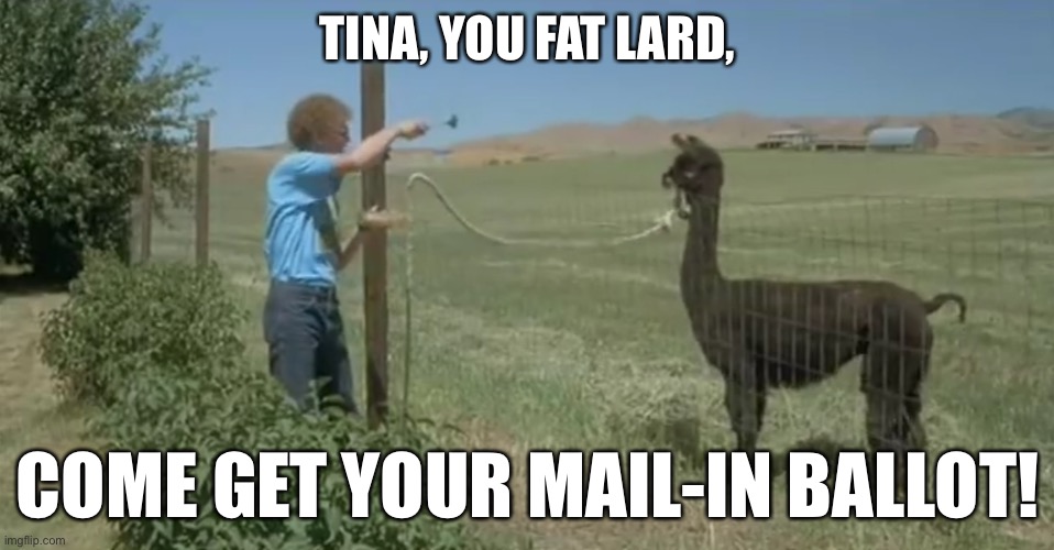 Animals can get registered to vote | TINA, YOU FAT LARD, COME GET YOUR MAIL-IN BALLOT! | image tagged in napoleon dynamite tina,memes,vote,animal,democracy,movie | made w/ Imgflip meme maker