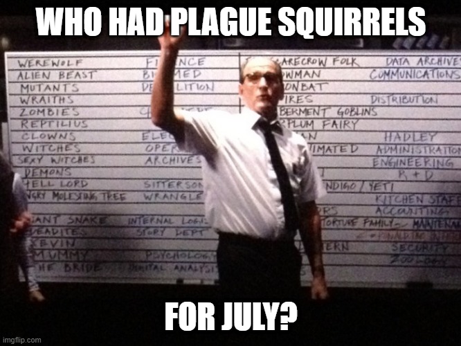 Who Had Plague Squirrels | WHO HAD PLAGUE SQUIRRELS; FOR JULY? | image tagged in who had x for y | made w/ Imgflip meme maker