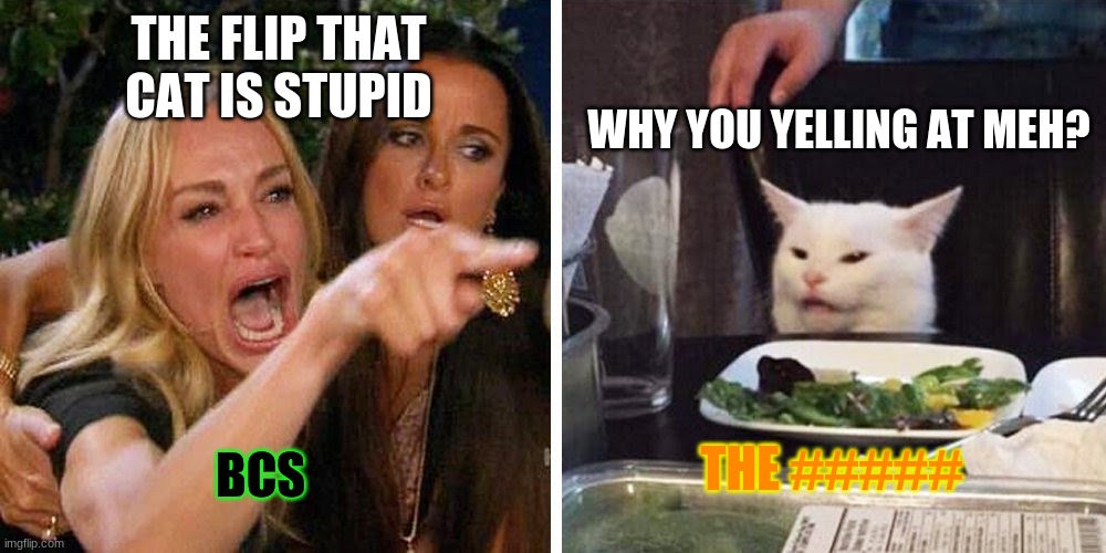 Smudge the cat | THE FLIP THAT CAT IS STUPID; WHY YOU YELLING AT MEH? THE #####; BCS | image tagged in smudge the cat | made w/ Imgflip meme maker