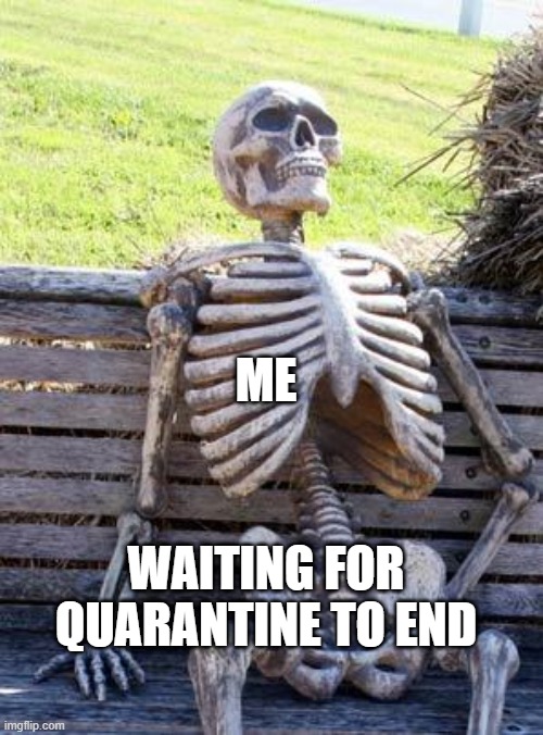 Waiting Skeleton Meme | ME; WAITING FOR QUARANTINE TO END | image tagged in memes,waiting skeleton | made w/ Imgflip meme maker