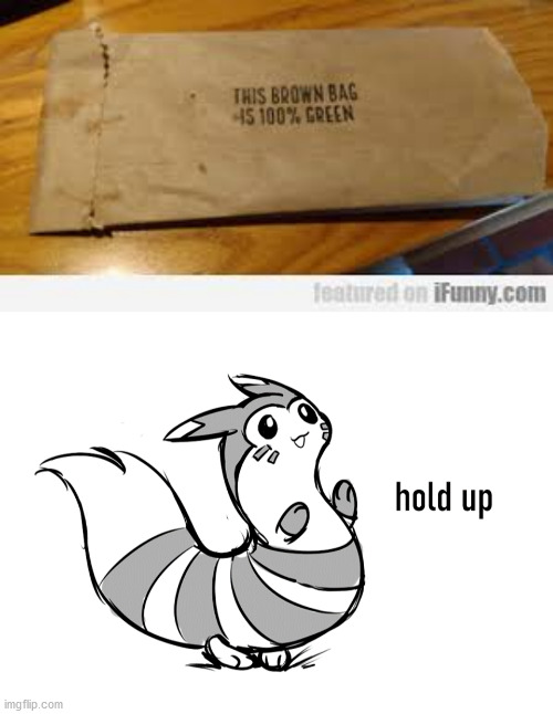 is that true? | image tagged in furret hold up,green brown bag,memes,funny | made w/ Imgflip meme maker