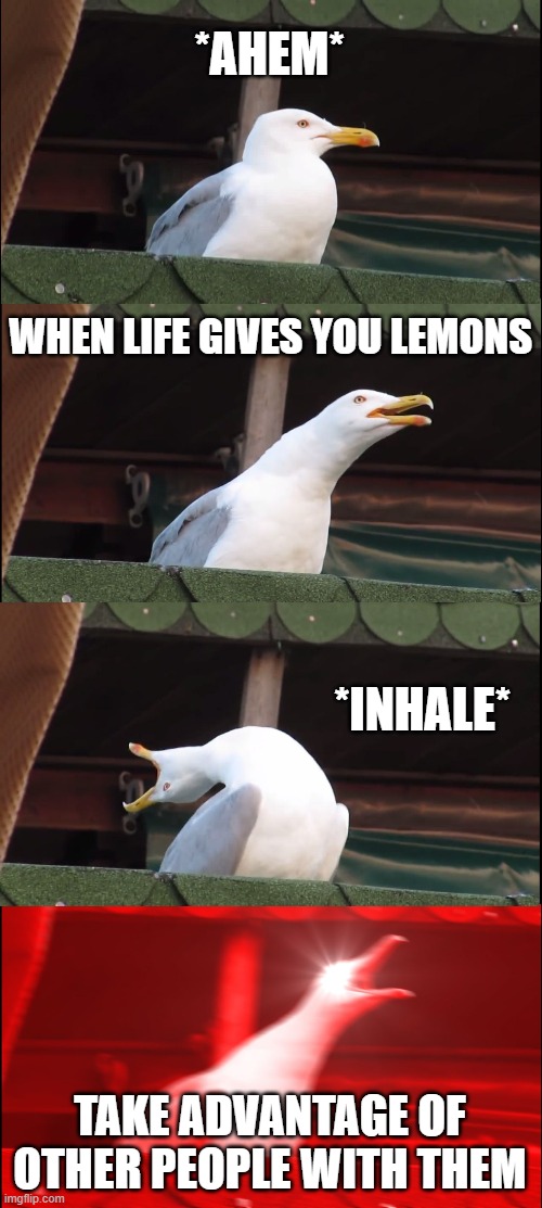 Inhaling Seagull | *AHEM*; WHEN LIFE GIVES YOU LEMONS; *INHALE*; TAKE ADVANTAGE OF OTHER PEOPLE WITH THEM | image tagged in memes,inhaling seagull | made w/ Imgflip meme maker