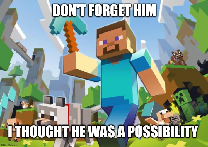 Minecraft  | DON'T FORGET HIM I THOUGHT HE WAS A POSSIBILITY | image tagged in minecraft | made w/ Imgflip meme maker