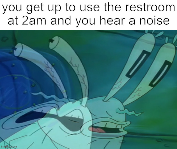 Mr Krabs | you get up to use the restroom at 2am and you hear a noise | image tagged in memes,funny memes,dank memes | made w/ Imgflip meme maker