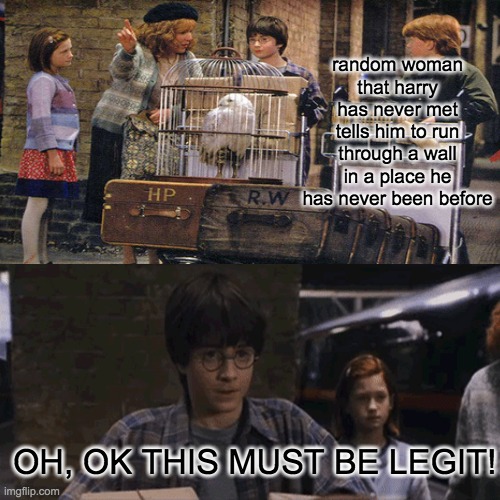 ThiS MUst bE LEGiT | random woman that harry has never met tells him to run through a wall in a place he has never been before; OH, OK THIS MUST BE LEGIT! | image tagged in harry potter | made w/ Imgflip meme maker