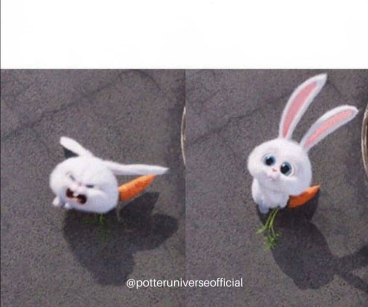 High Quality Nice and evil rabbit Blank Meme Template