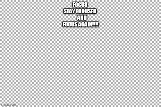 Free | FOCUS 
STAY FOCUSED 
   AND
FOCUS AGAIN!!!! | image tagged in free | made w/ Imgflip meme maker
