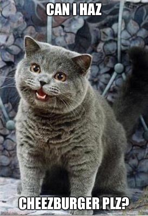 I can has cheezburger cat | CAN I HAZ CHEEZBURGER PLZ? | image tagged in i can has cheezburger cat | made w/ Imgflip meme maker