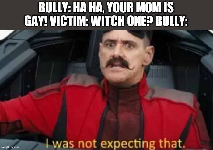 I was not expecting that | BULLY: HA HA, YOUR MOM IS GAY! VICTIM: WITCH ONE? BULLY: | image tagged in i was not expecting that,memes,bullying,bully,school | made w/ Imgflip meme maker