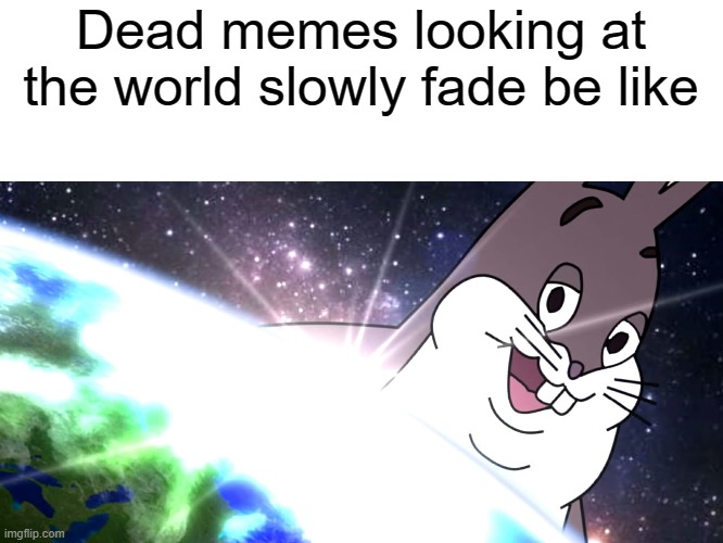 RIP Chungus | Dead memes looking at the world slowly fade be like | image tagged in chungus | made w/ Imgflip meme maker